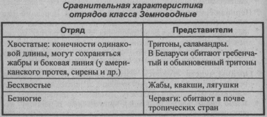 sravnitelnaya-harakteristika-otryadov-klassa-zemnovodnyie