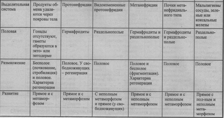 sravnitelnyiy-obzor-sistem-organov-bespozvonochnyih-zhivotnyih-3