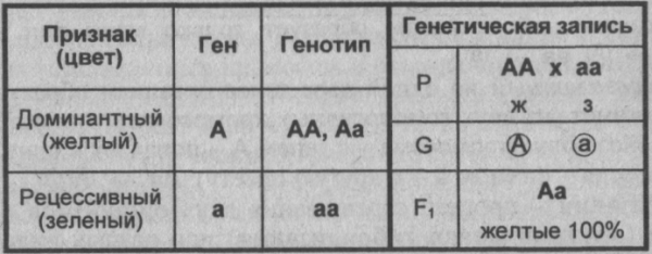 Определить генотип родителей. Рецессивный признак ген которого. Аутосомно-рецессивный тип. Доминантные и рецессивные гены. Рецессивный и доминантный признак цвет глаз.