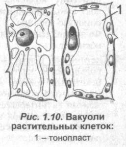 shop внедрение бережливого производства практическое руководство по